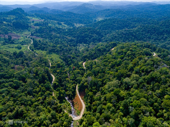 Tư vấn chiến lược